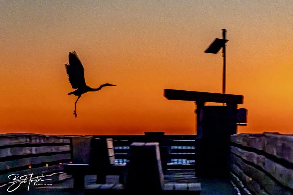 20241229-12-29-24 SASP -48.jpeg