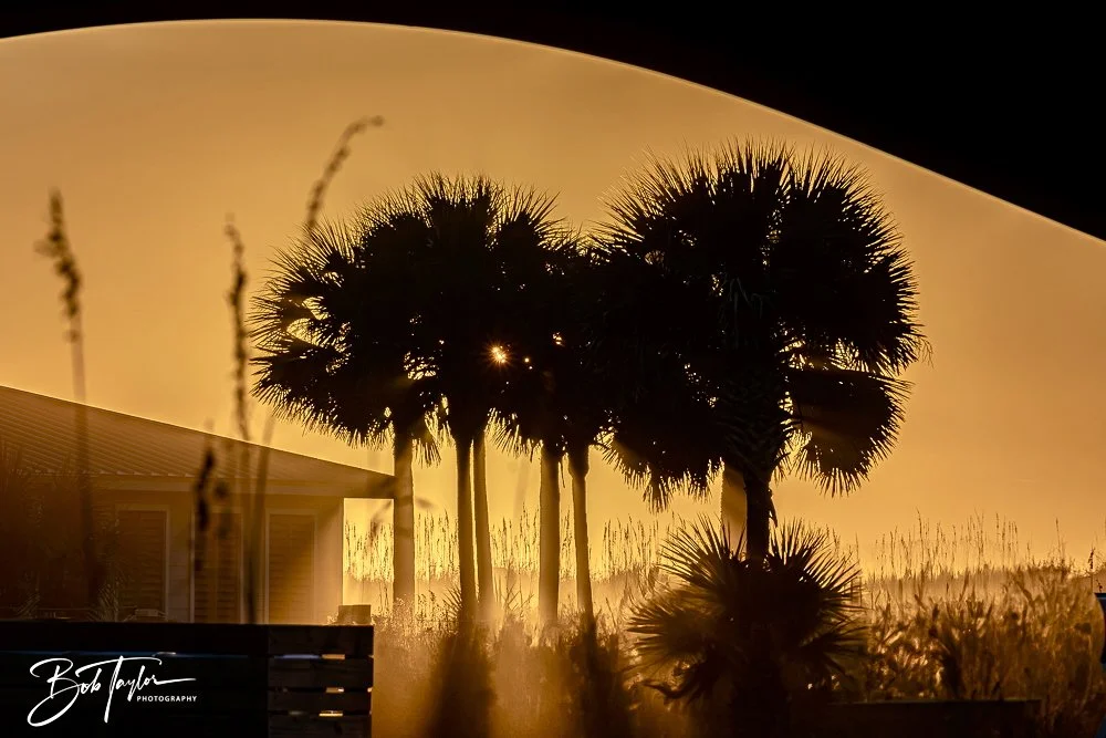 20241229-12-29-24 SASP -23.jpeg