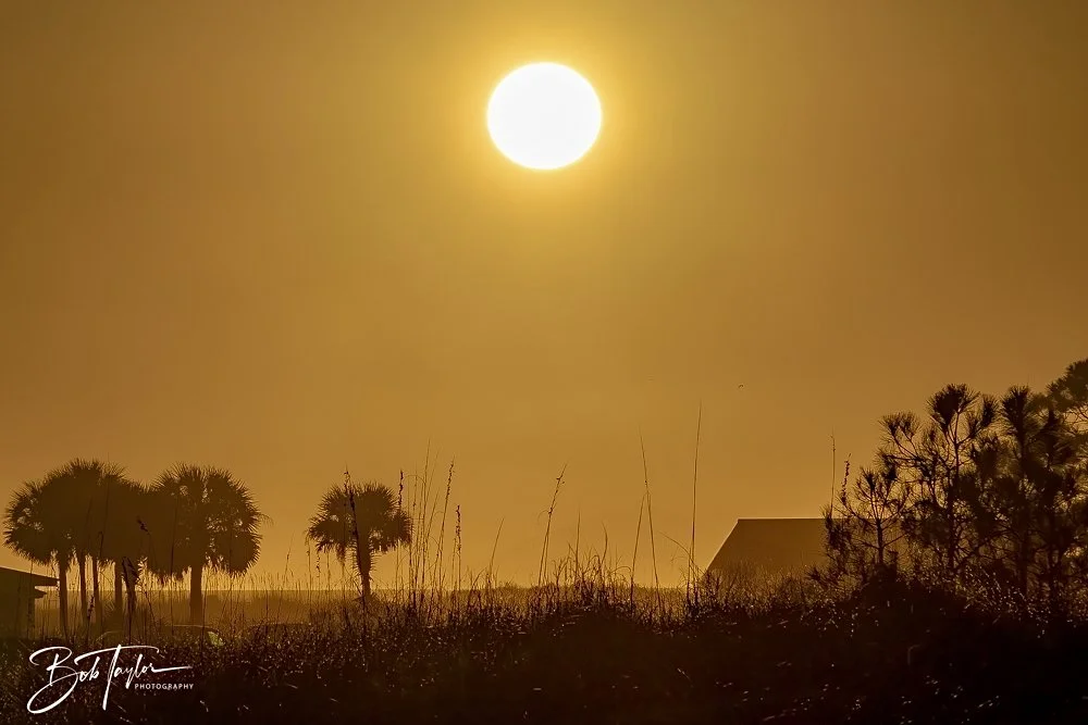 20241229-12-29-24 SASP -20.jpeg