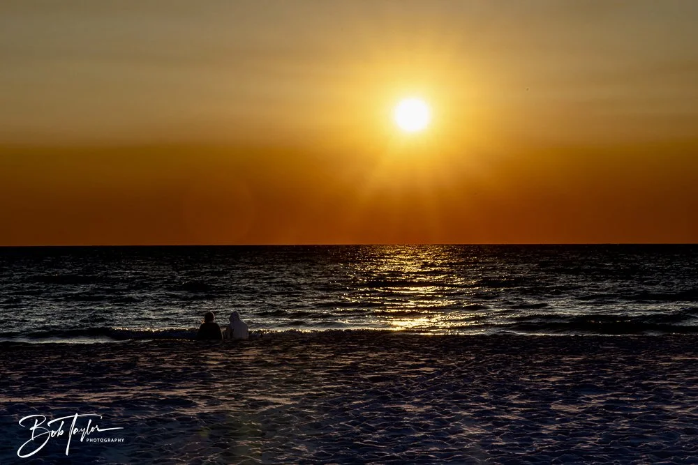 20241220-SASP Sunset -2.jpeg