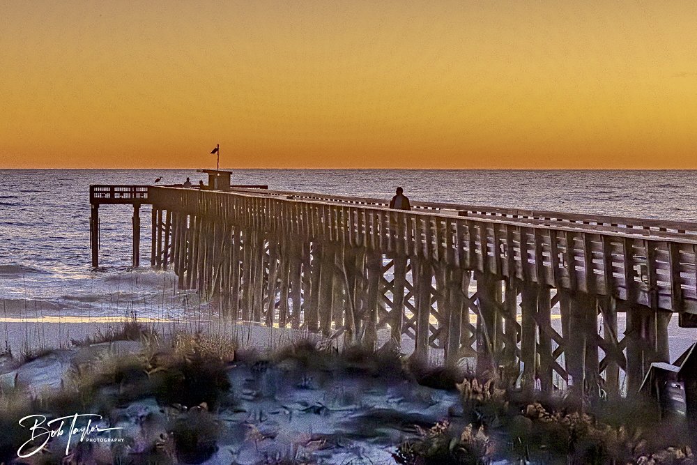 20241229-12-29-24 SASP -35.jpeg