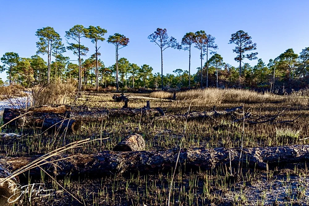 20241229-12-29-24 SASP -3.jpeg