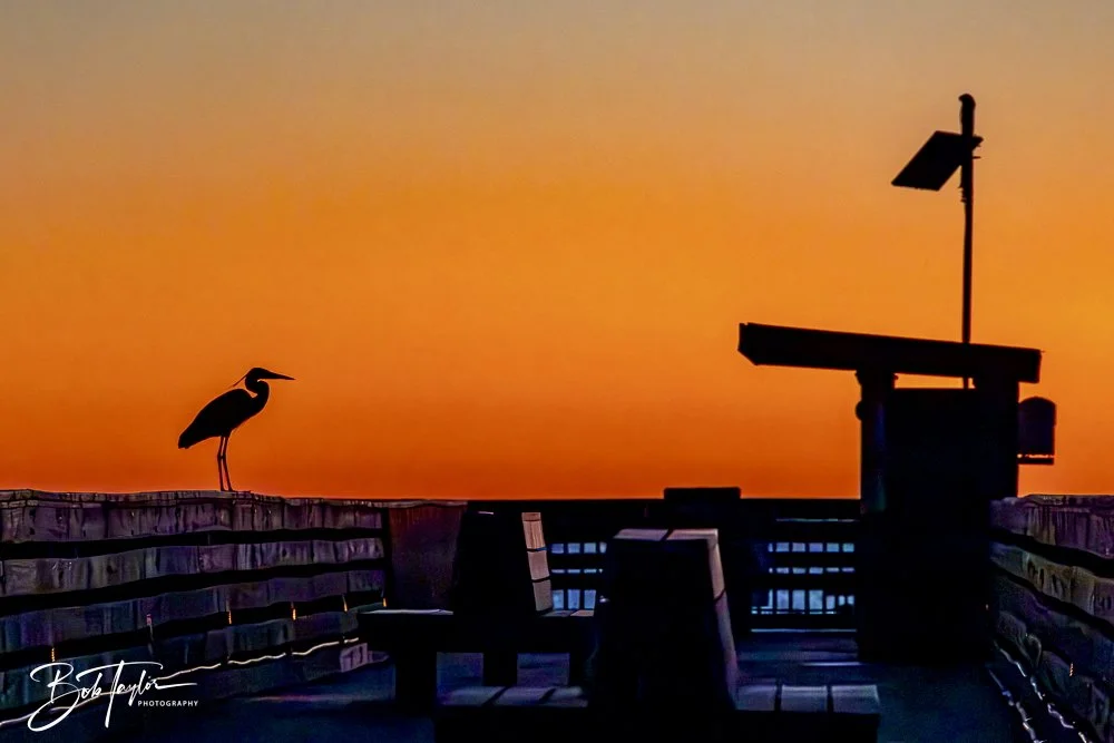 20241229-12-29-24 SASP -47.jpeg