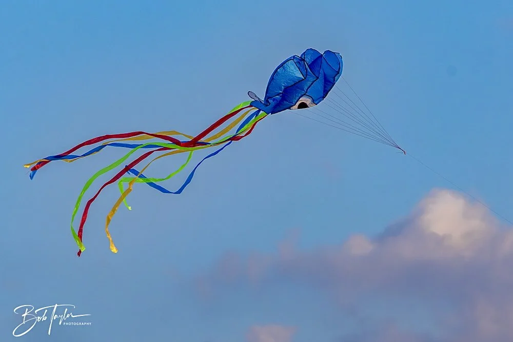 20240813-SASP Sunset at Pier -5.jpeg