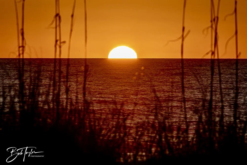 20241229-12-29-24 SASP -29.jpeg