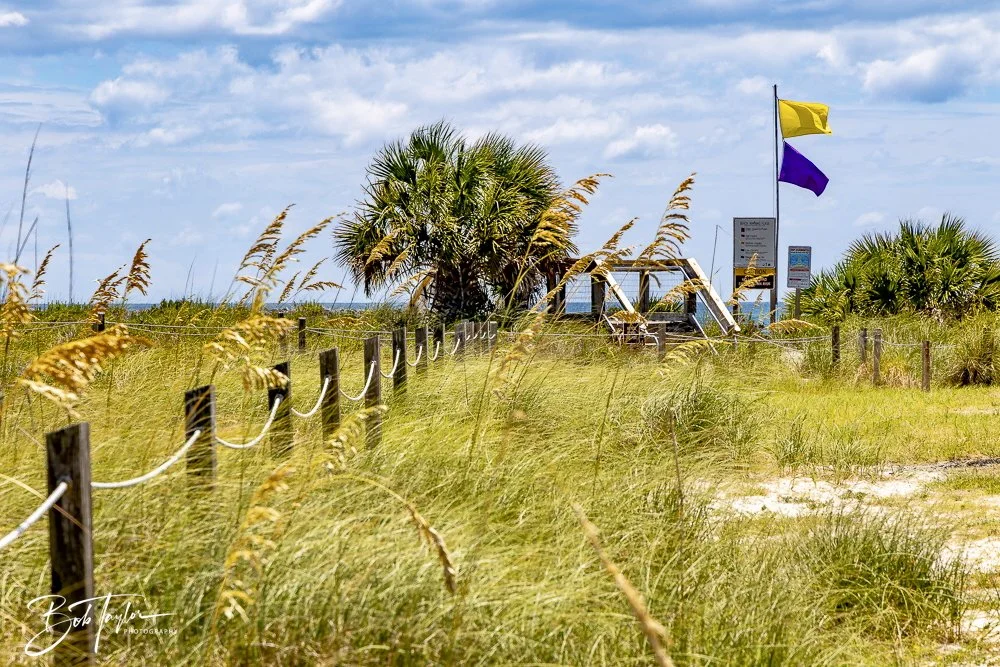 20240823-08-23-24 SASP -41.jpeg