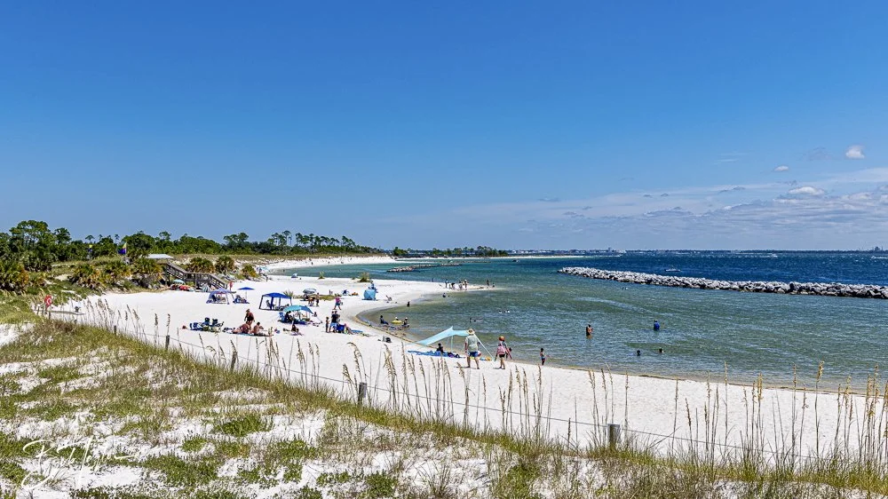 20240823-08-23-24 SASP -7.jpeg