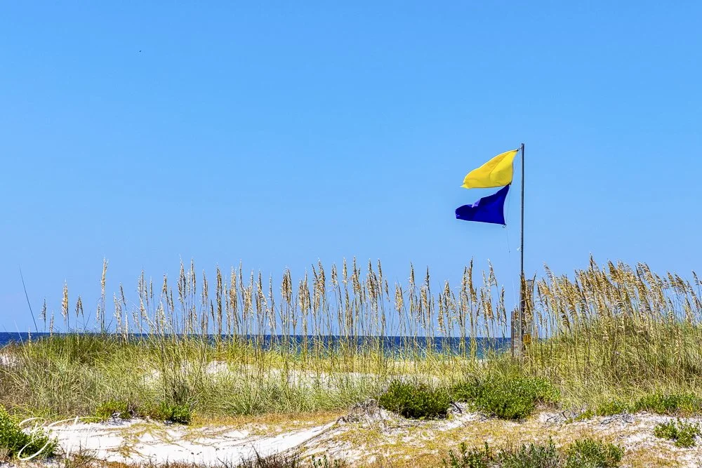 20240823-08-23-24 SASP -5.jpeg