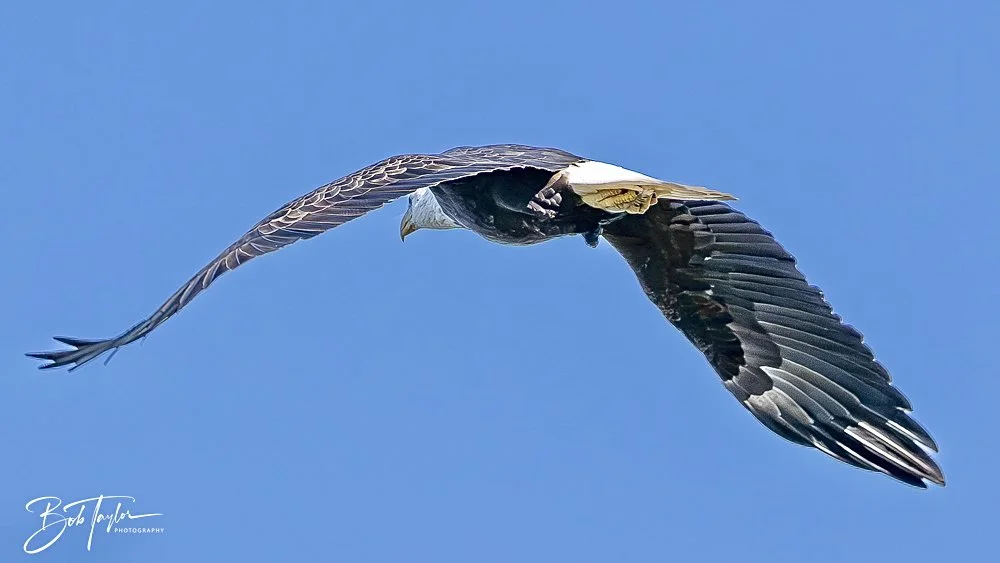 20241201-SASP 12-01-24 -36.jpeg