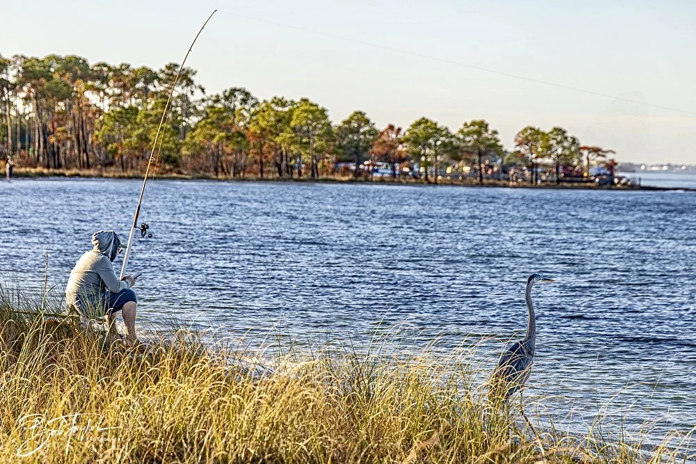 20241229-12-29-24 SASP -5.jpeg