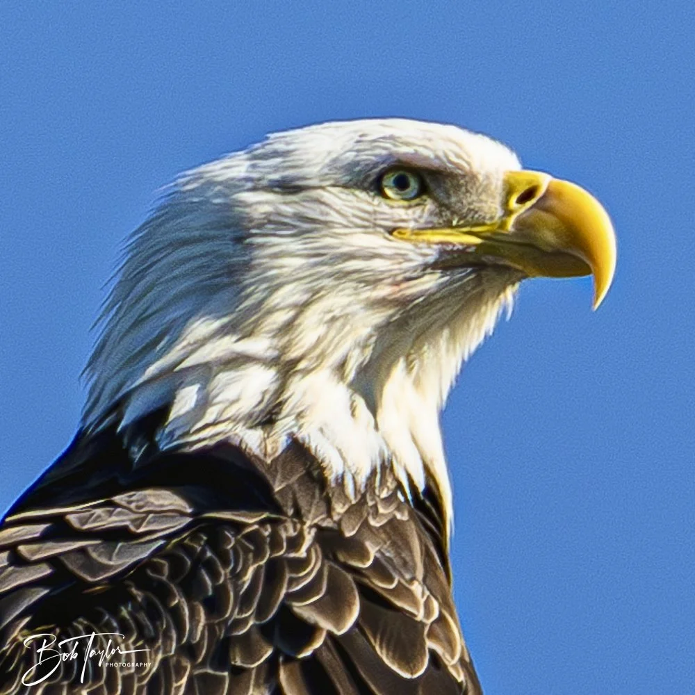 20241201-SASP 12-01-24 -14.jpeg