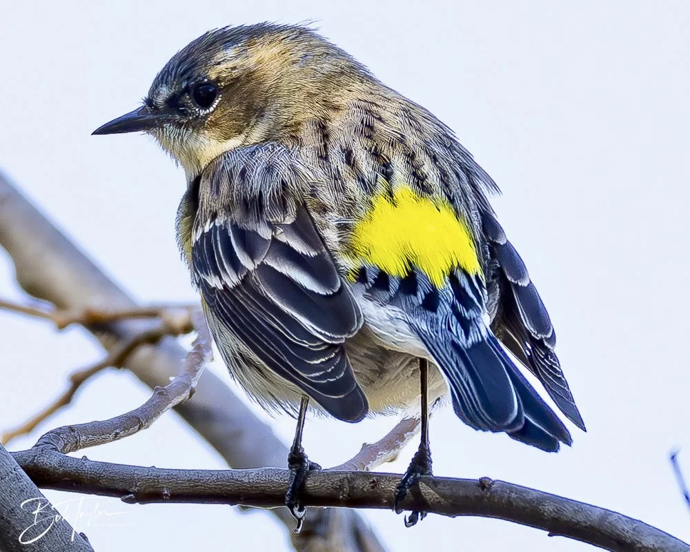 20241201-SASP 12-01-24 -8.jpeg