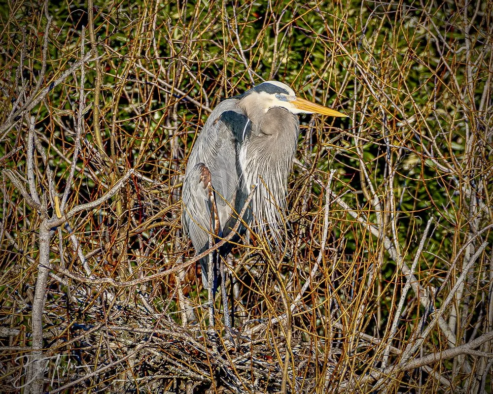 20241229-12-29-24 SASP -1.jpeg