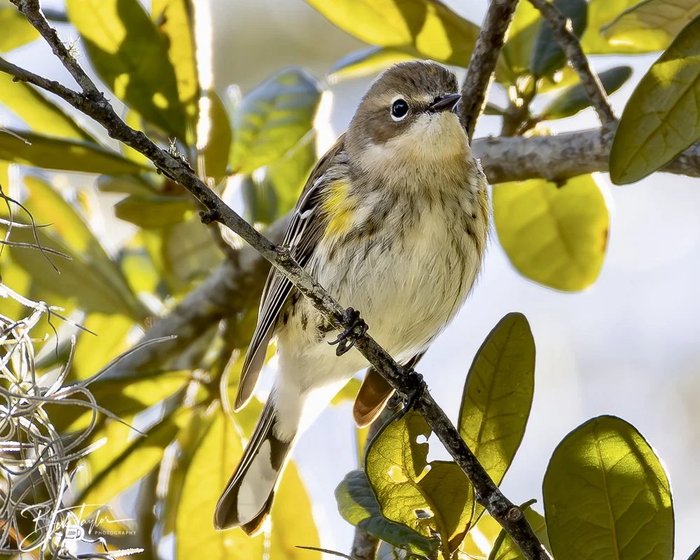 20241201-SASP 12-01-24 -4.jpeg