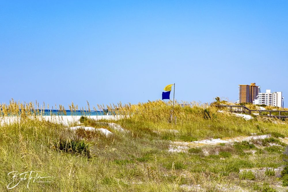 20240823-08-23-24 SASP -9.jpeg