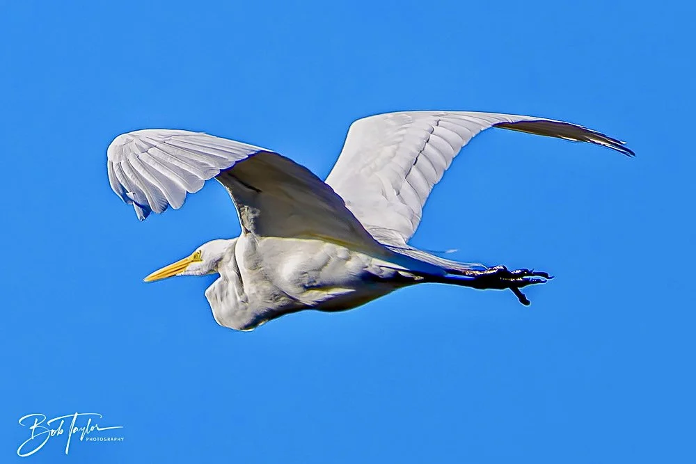 20241201-SASP 12-01-24 -16.jpeg