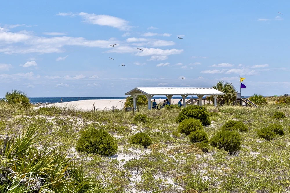 20240823-08-23-24 SASP -40.jpeg