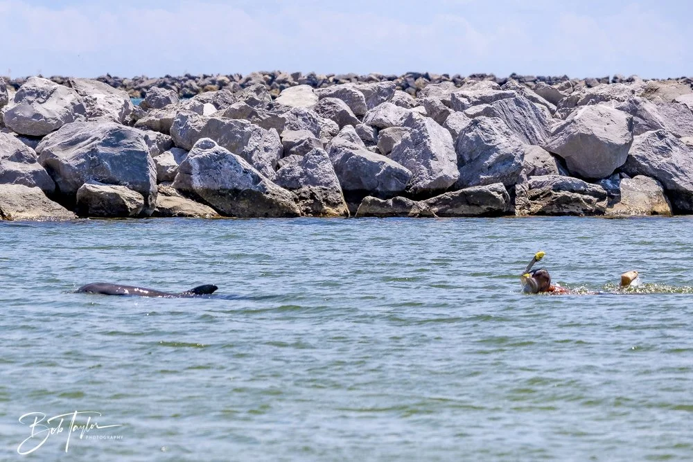 20240823-08-23-24 SASP -36.jpeg