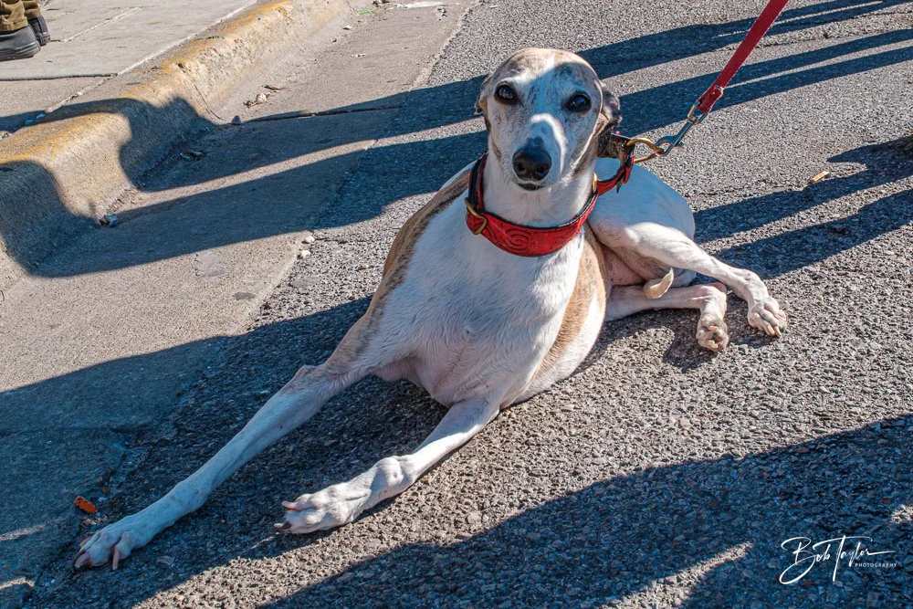 20250302-20250302-True Soul R -10.jpg