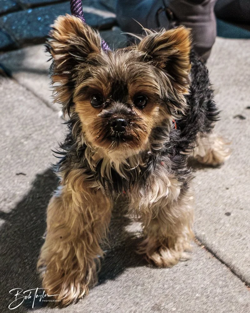 20250325-20250325-True Soul -29.jpg