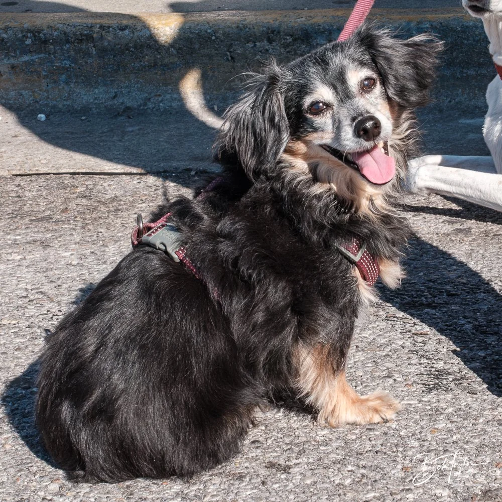 20250302-20250302-True Soul R -9.jpg