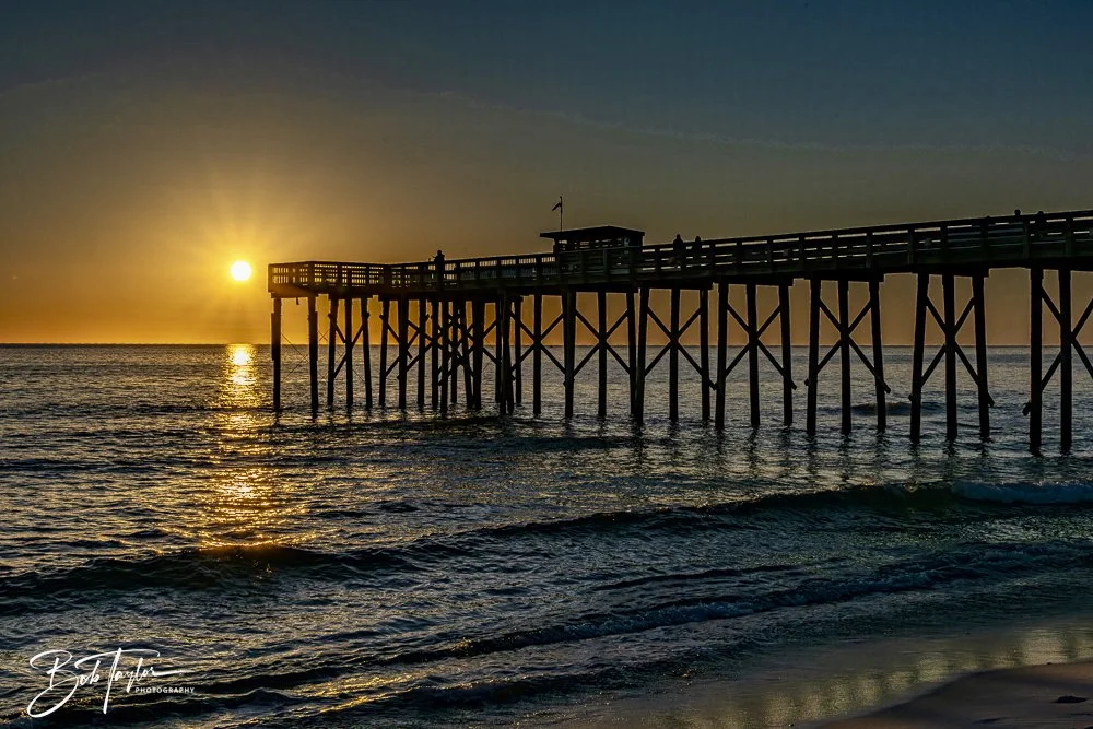 20250202-SASP Post 1 -63.jpeg