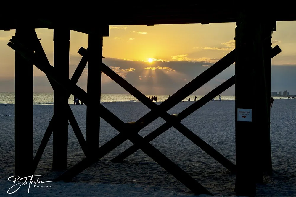 20240613-SASP Jun 24 -49.jpeg