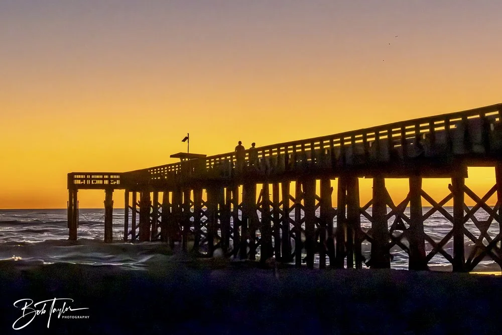 20241229-12-29-24 SASP 2 -1.jpeg