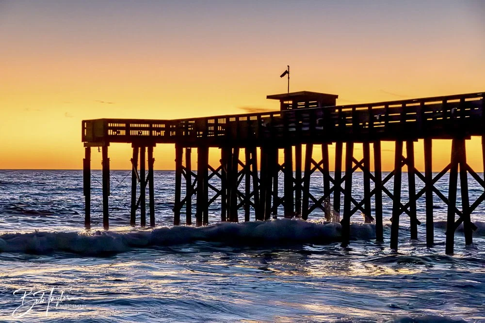 20241229-12-29-24 SASP -39.jpeg