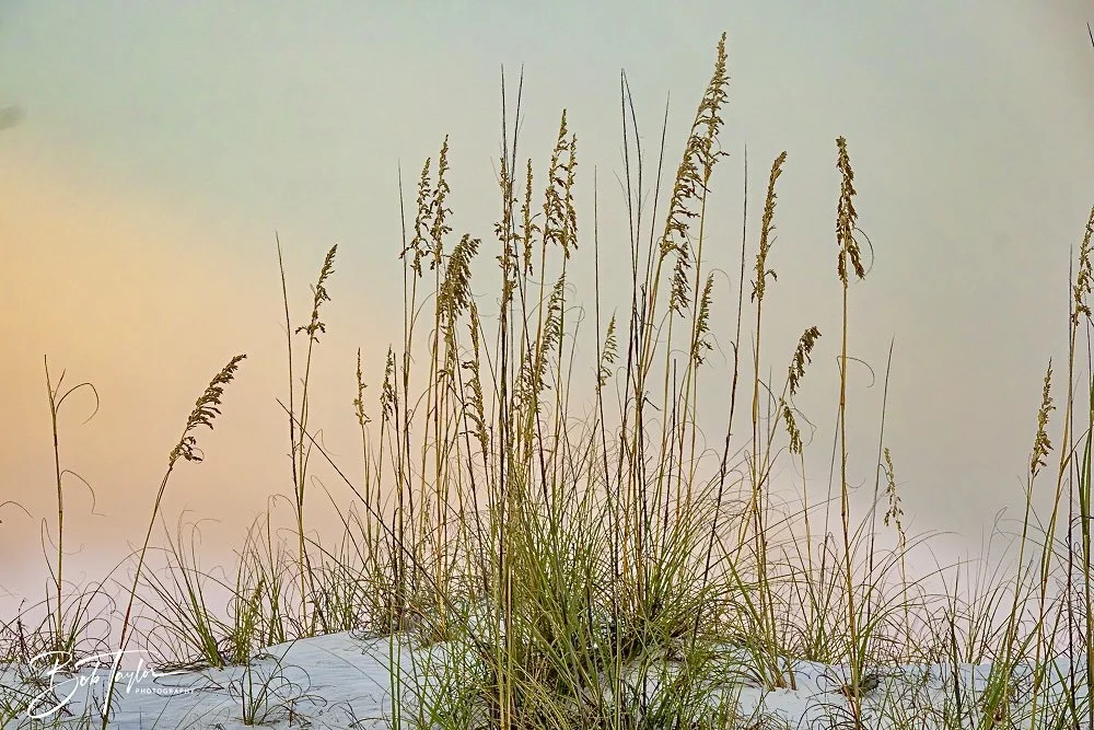 20240813-SASP Sunset at Pier -55.jpeg