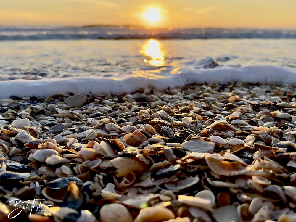 2-Library - 1 of 1-topaz-2.jpeg