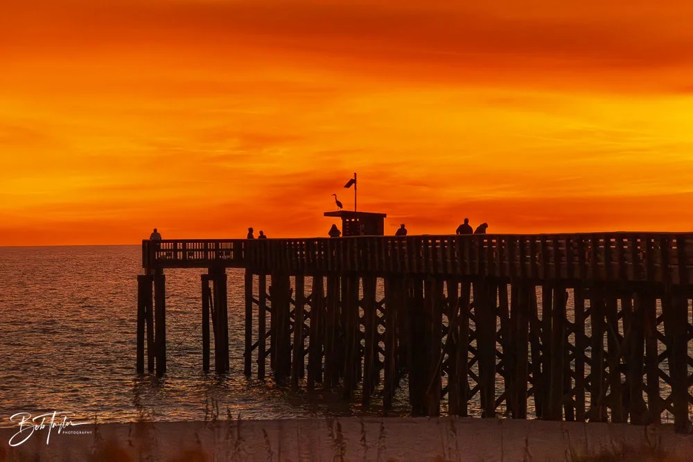 20251119-SASP Sunset -39.jpg