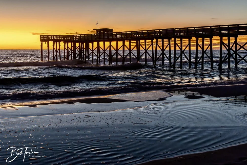 20241229-12-29-24 SASP 2 -7.jpeg