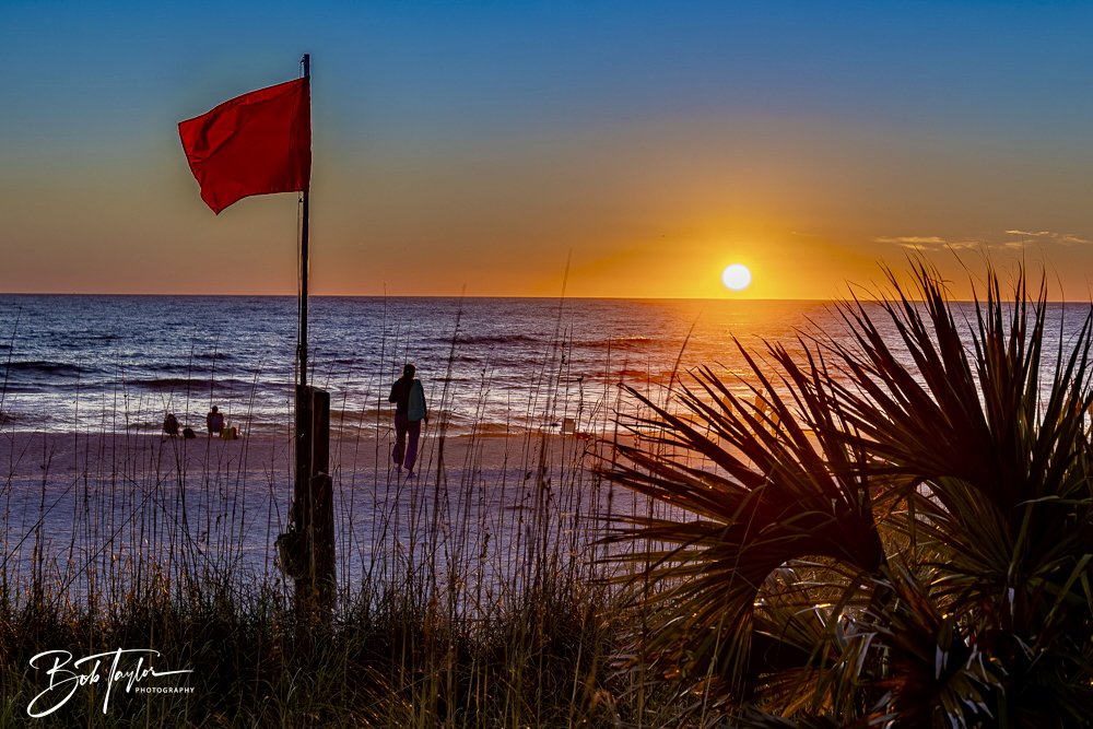 20241229-12-29-24 SASP -28.jpeg