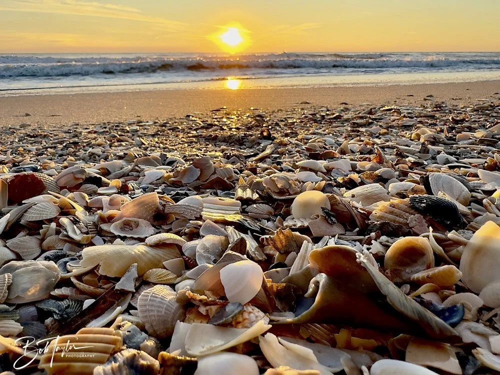 2-Library - 2 of 4-topaz-3.jpeg