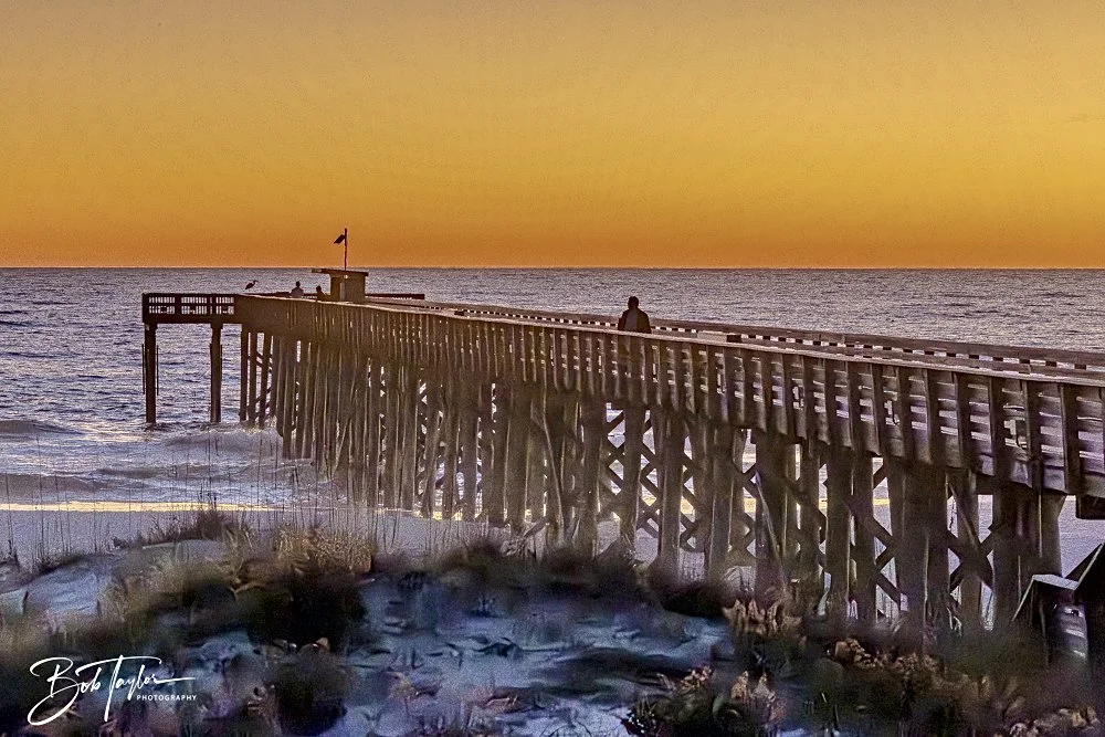 20241229-12-29-24 SASP -35.jpeg