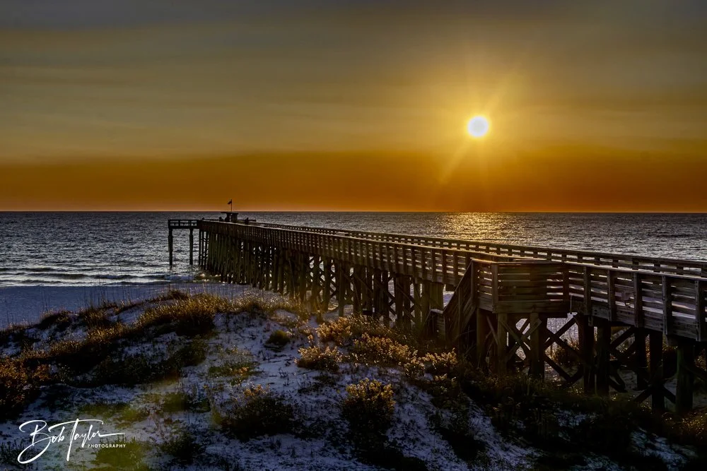 20241220-SASP Sunset -16.jpeg