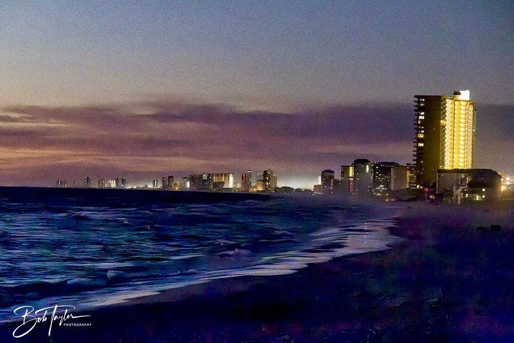 20241229-12-29-24 SASP -49.jpeg