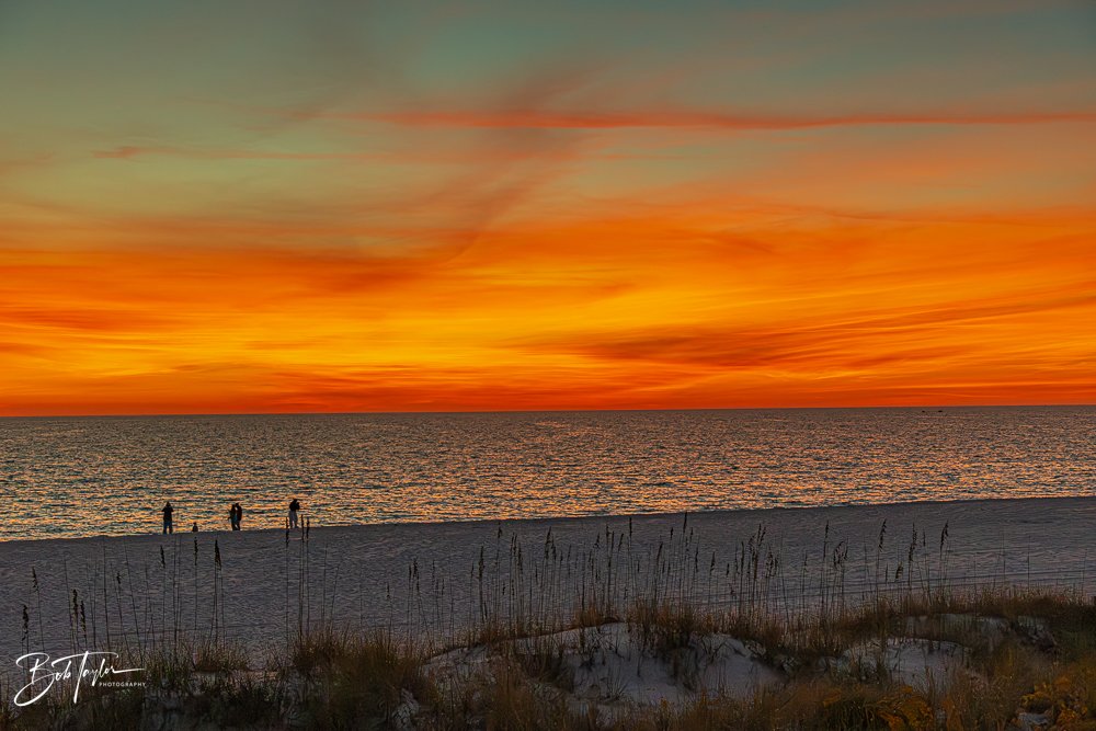 20251119-SASP Sunset -33.jpg