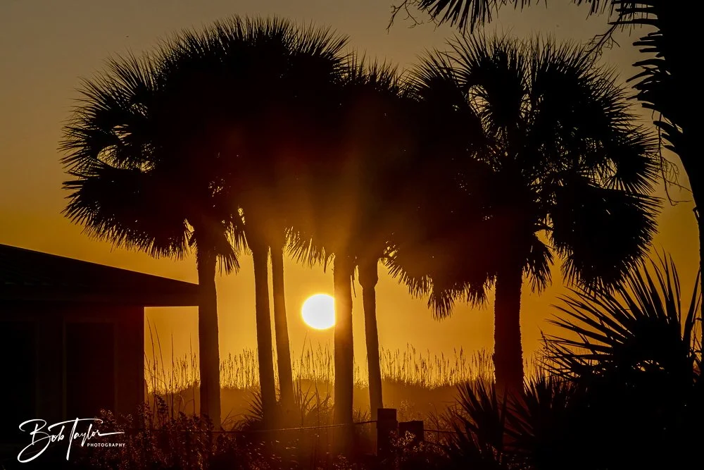 20241229-12-29-24 SASP -25.jpeg