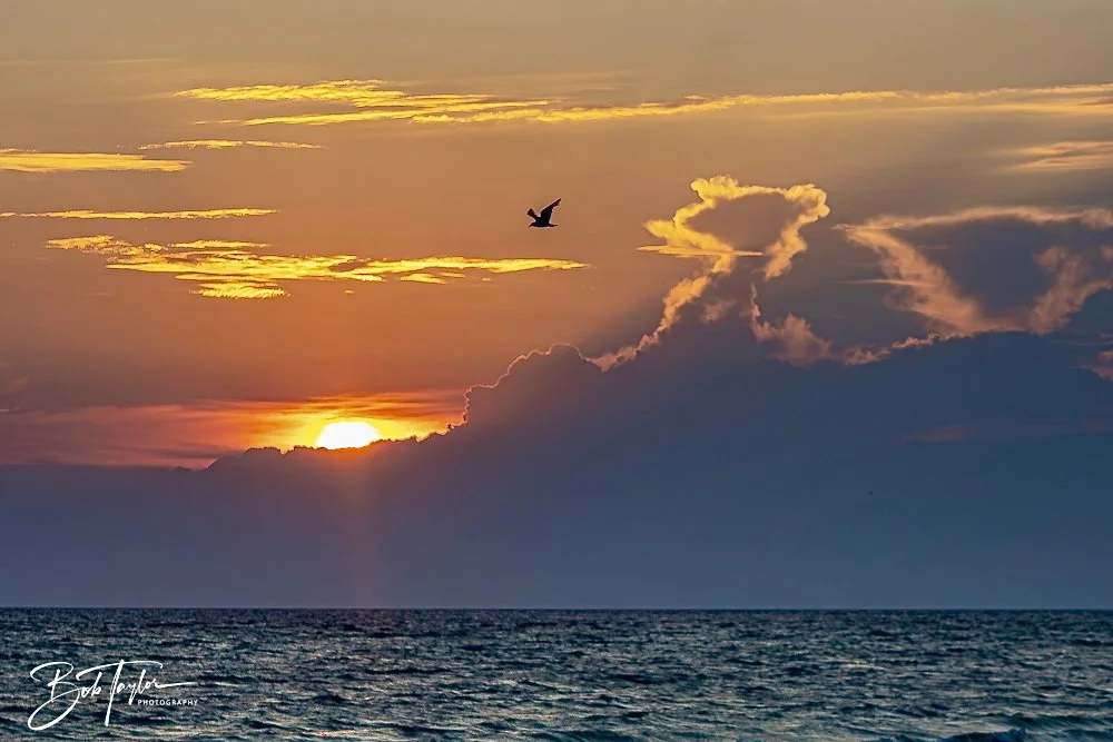 20240813-SASP Sunset at Pier -48.jpeg