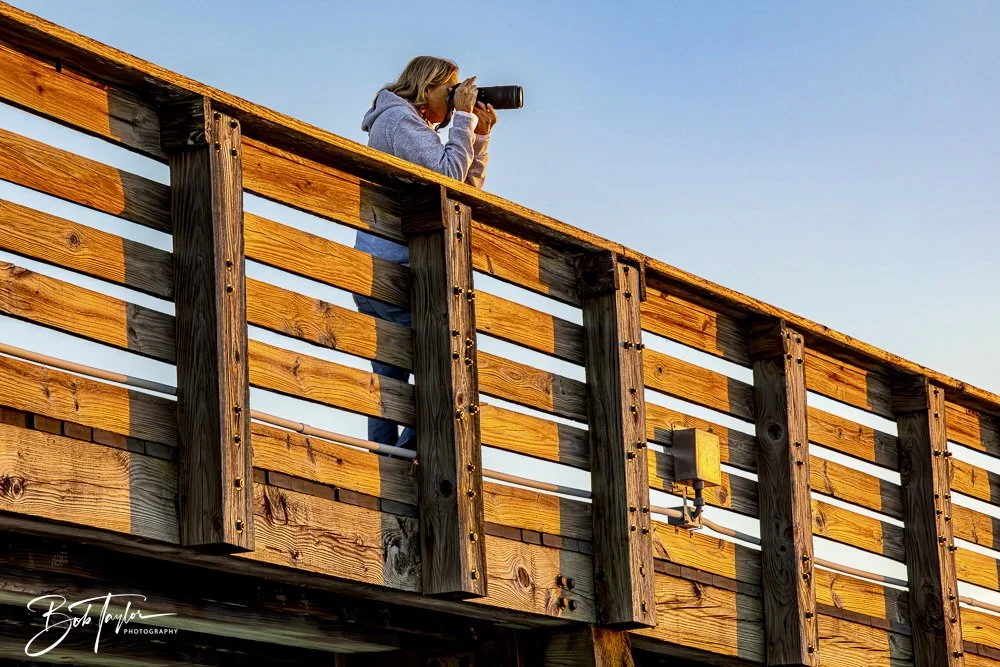 20250202-SASP Post 1 -66.jpeg