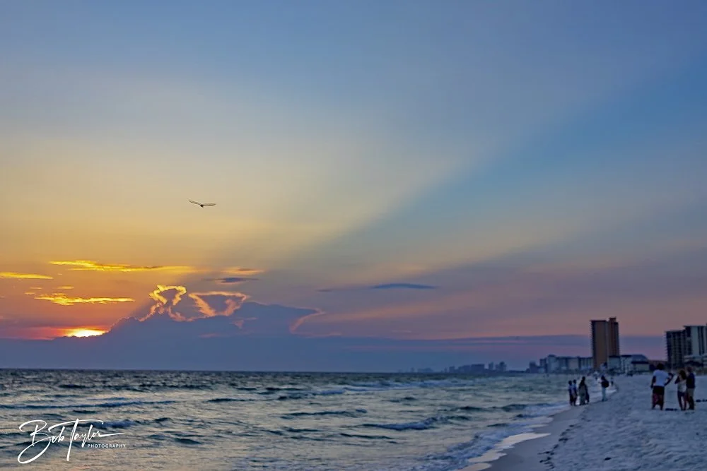 20240813-SASP Sunset at Pier -49.jpeg