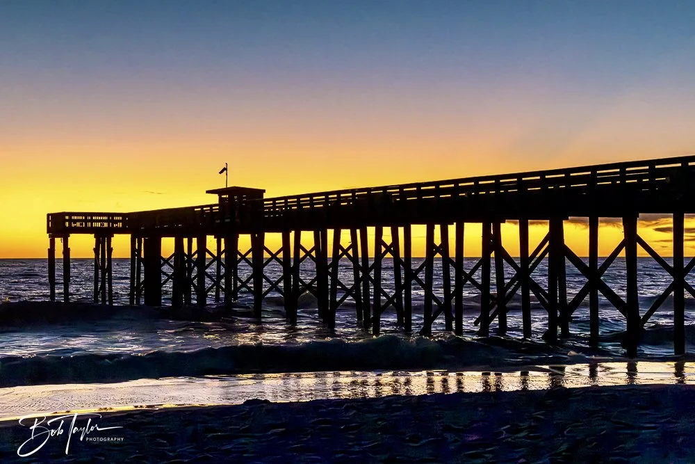 20241229-12-29-24 SASP -37.jpeg