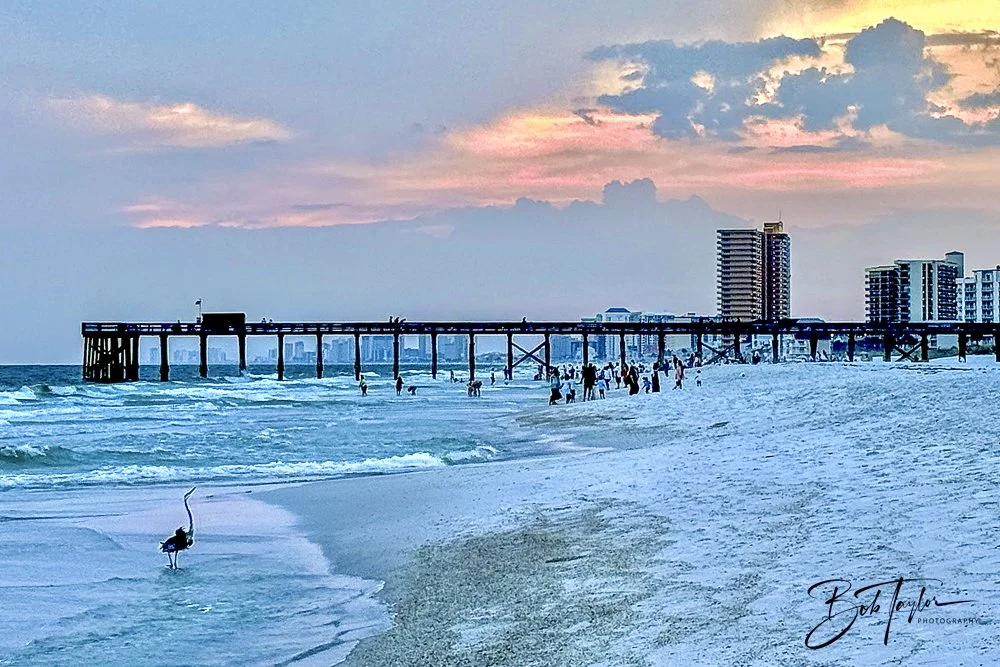 20240625-SASP Sunset Pier 2 -4.jpeg