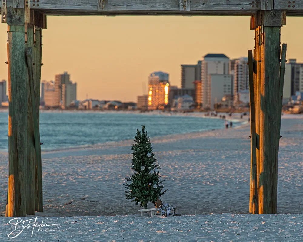 20251103-SASP Sunset Pier -7.jpg