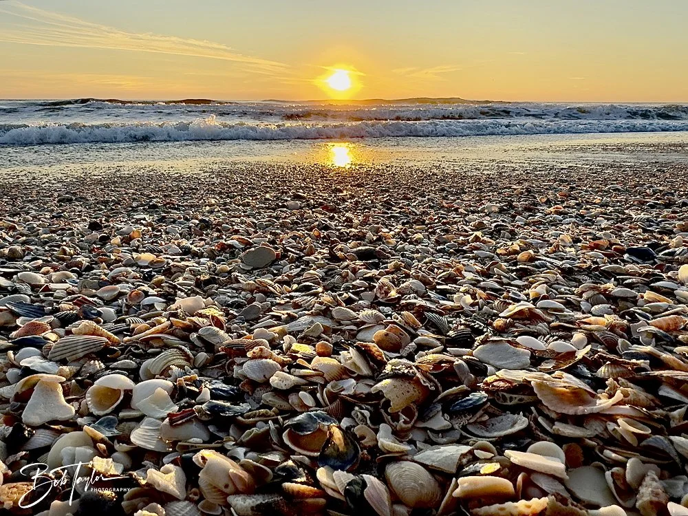 2-Library - 1 of 4-topaz-1.jpeg