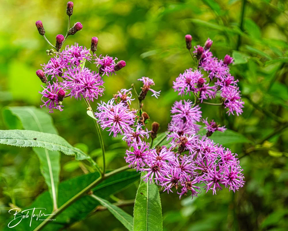20250913-Cuyahoga Hikes -22.jpg