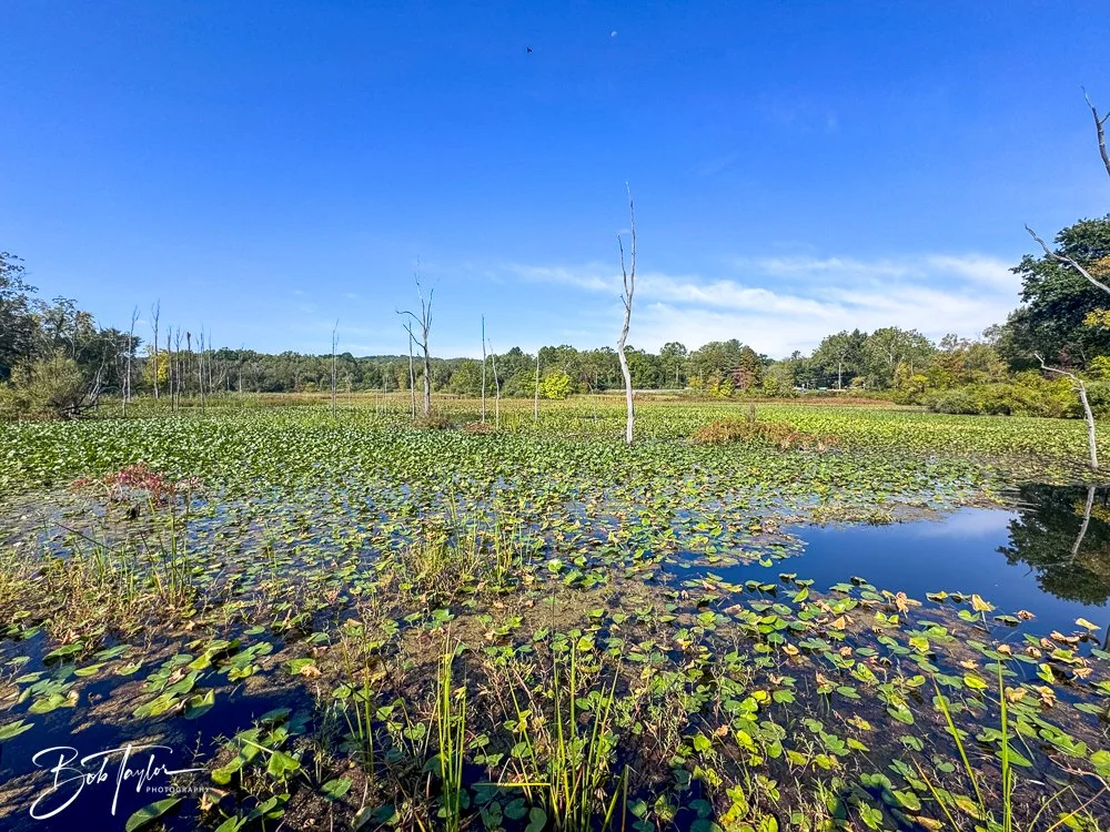 20250913-Cuyahoga Hikes -7.jpg