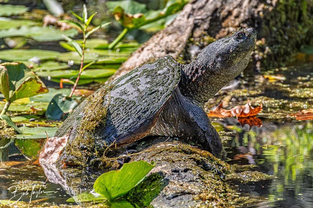 20250914-Cuyahoga Hikes -51.jpg